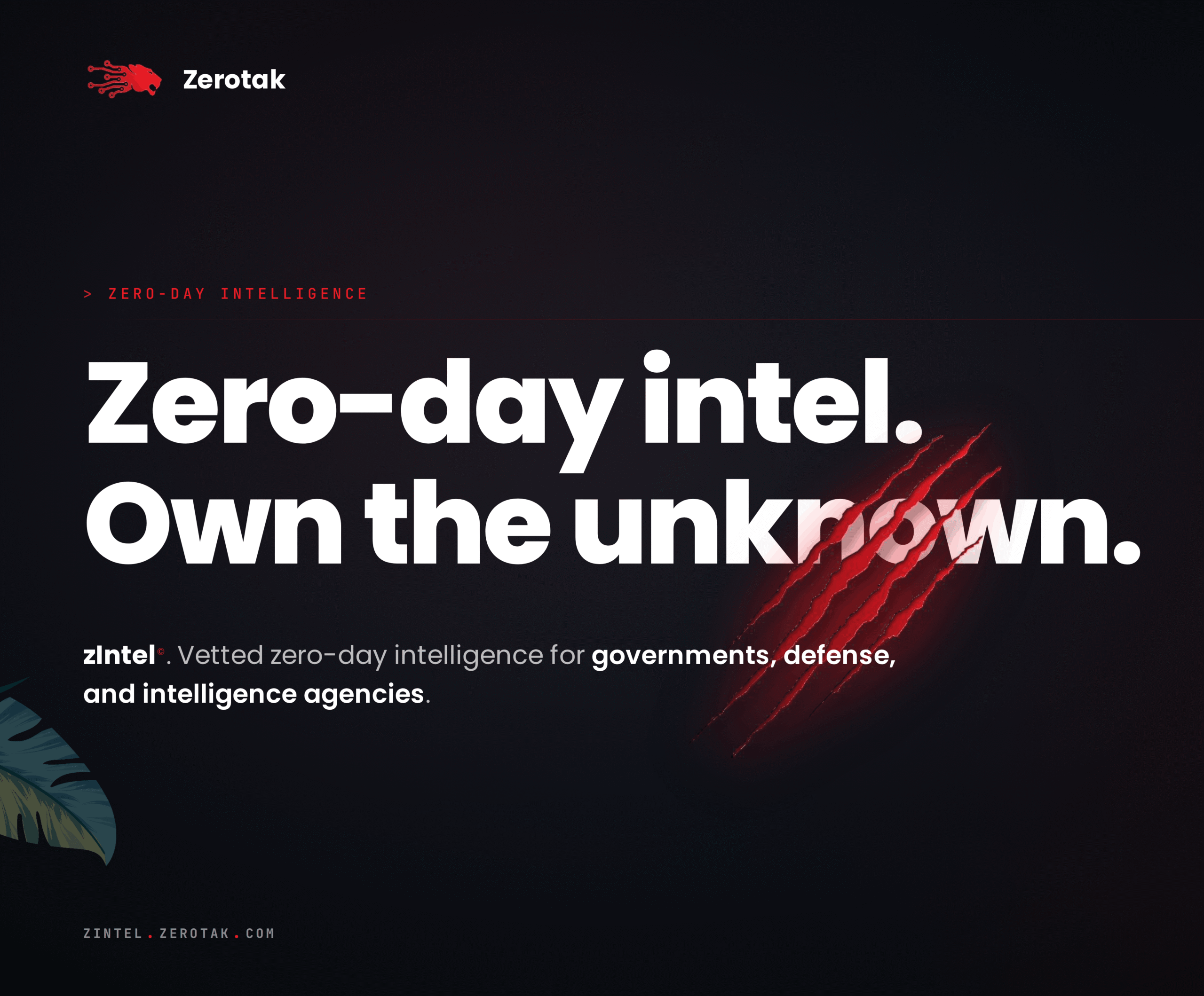zintel main banner zerotak